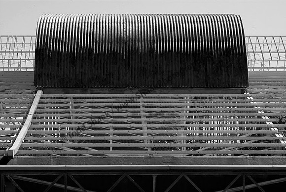 IMG_1175.3.BW copy