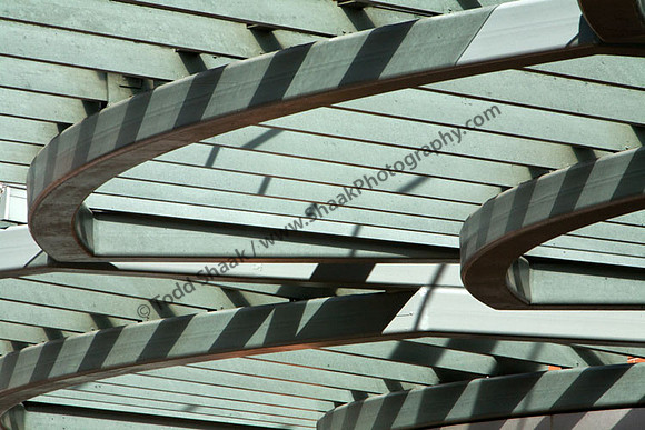 IMG_1131.3 copy