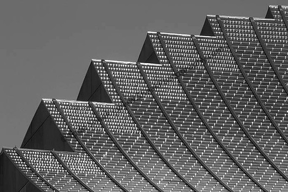 IMG_2211.6.2013.BW copy