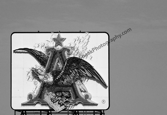 IMG_6928.BW copy
