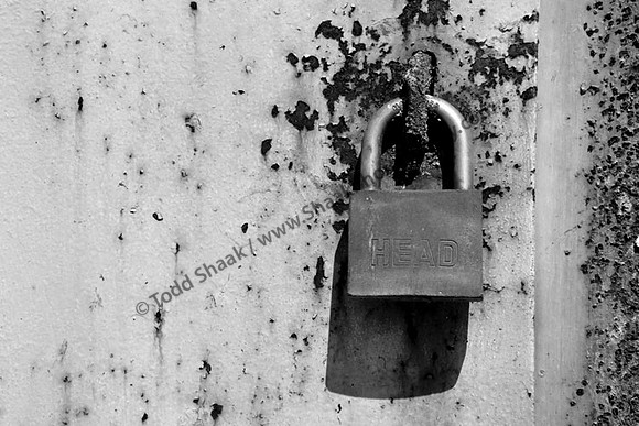 IMG_9727.4.BW copy