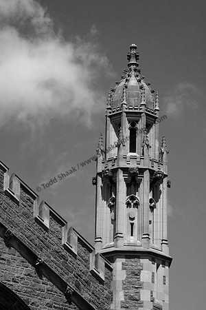 IMG_7667.3-BW copy