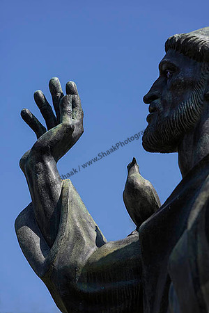 IMG_2586.6.2013 copy