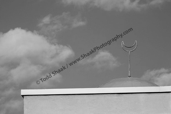IMG_9039.BW copy