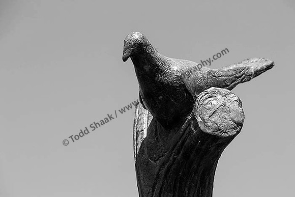 IMG_2577.6.2013-BW copy