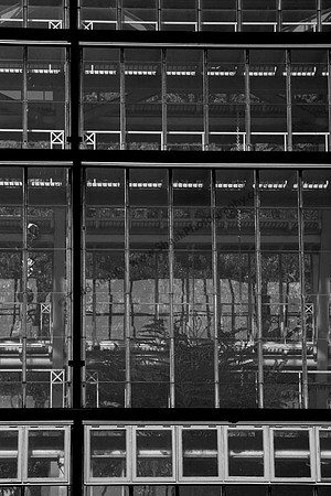 IMG_5538.1.BW copy