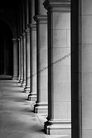IMG_7839.3 copy