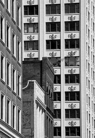 IMG_7487.4.BW copy