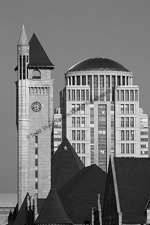 IMG_7955.BW copy