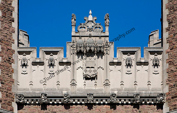 IMG_7017 copy