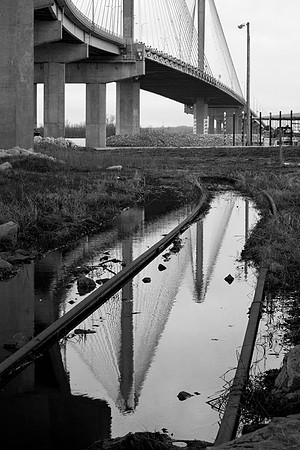 IMG_2867.3.BW copy