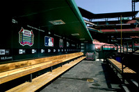 BuschDugoutColor copy