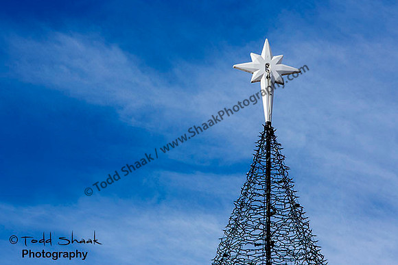 IMG_7988.2014 copy