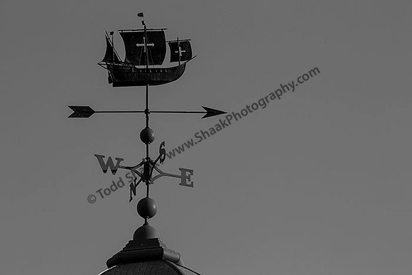 IMG_5186.6.2013.BW copy