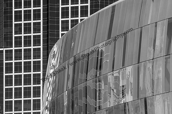 IMG_2238.6.2013.BW copy