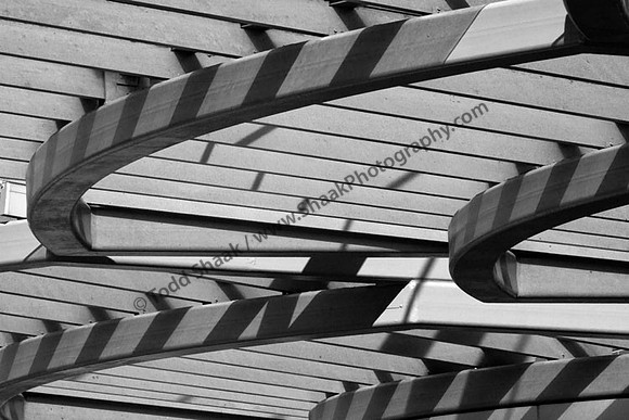 IMG_1131.3.BW copy