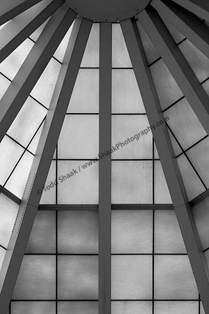 IMG_0786.3.BW copy
