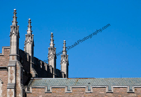 IMG_7019 copy