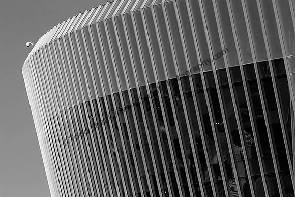 IMG_2246.6.2013.BW copy