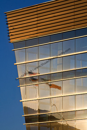 IMG_3649.4 copy