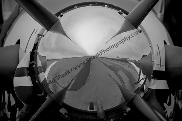 IMG_1167.4-BW copy