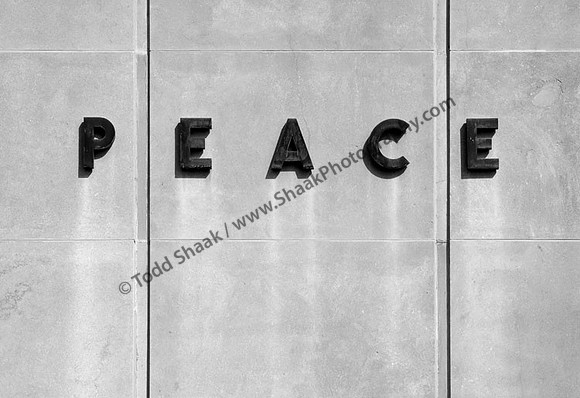 IMG_5413.BW copy