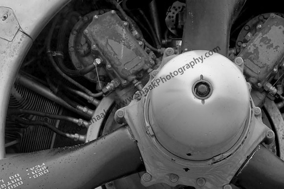 IMG_1155.5 copy