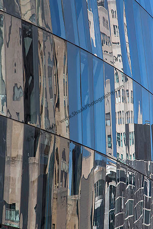 IMG_2239.6.2013 copy