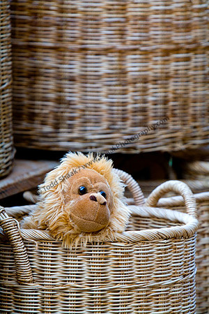 IMG_0758.3 copy