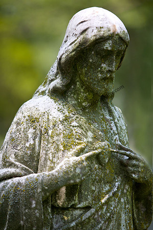 IMG_5145.3 copy