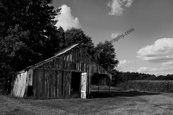 IMG_0385.3.BW copy