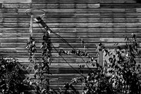 IMG_0703 copy