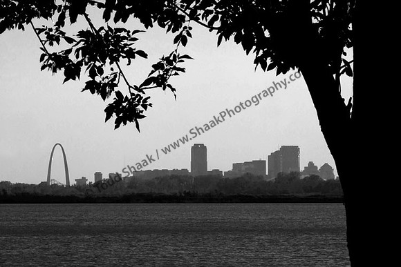IMG_1307.3.BW copy