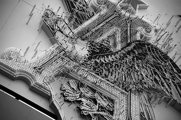 IMG_7490.3.3-BW copy