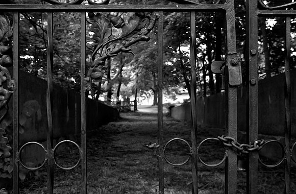 IMG_9656.3.BW copy