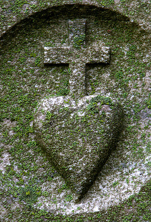IMG_7907.3 copy