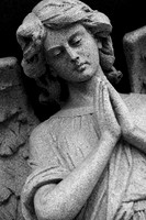 IMG_5171.3 copy