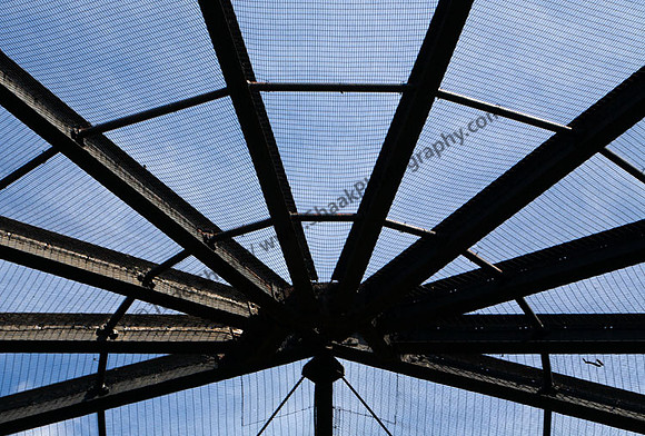 IMG_0675.3 copy