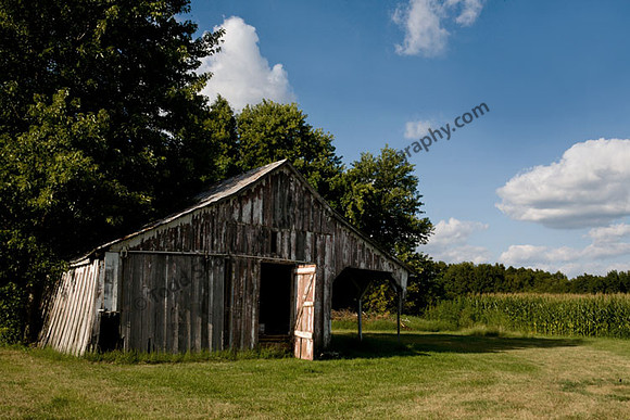 IMG_0385.3 copy