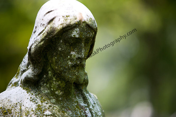 IMG_5146.3 copy