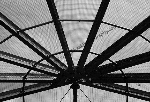IMG_0675.3.BW copy