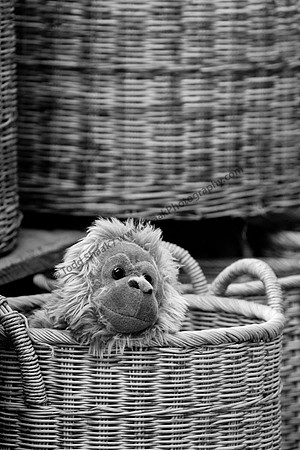 IMG_0758.3.BW copy
