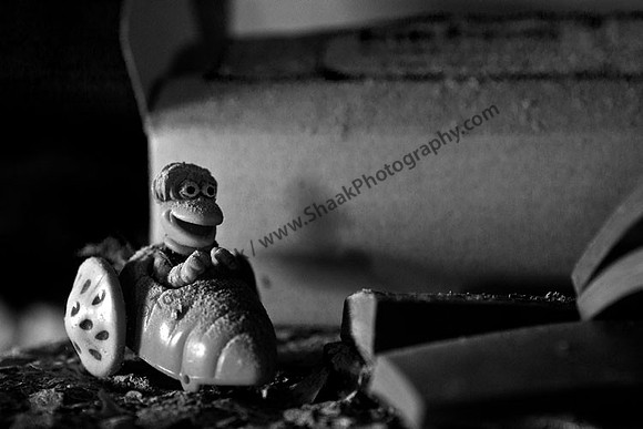 IMG_8927.3.BW copy