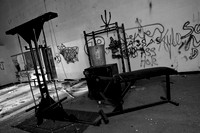 IMG_8202.3 copy