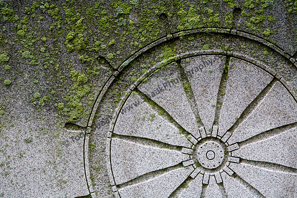 IMG_7896.3 copy