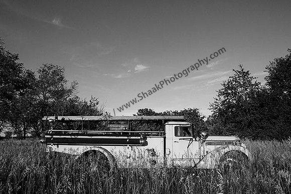 IMG_4796.6.2013.BW copy