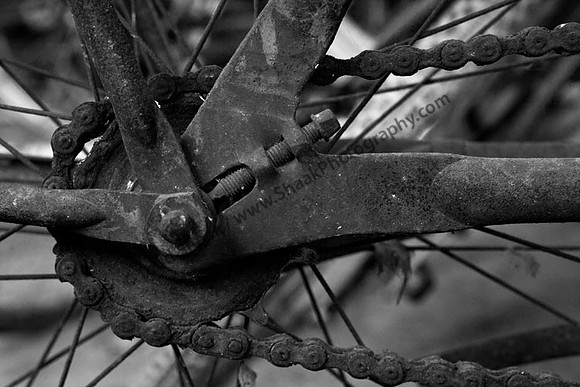 IMG_8983.3 copy