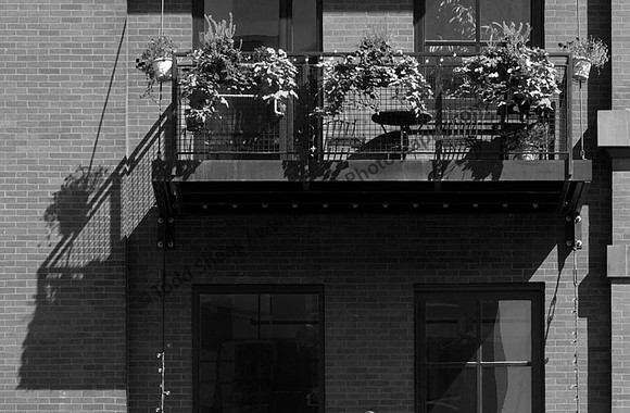 IMG_1213.3.BW copy