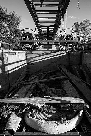 IMG_4773.6.2013.BW copy