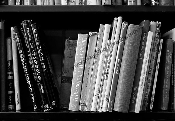 IMG_9319.3 copy